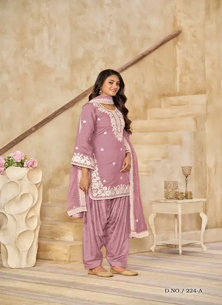 Aanaya Vol 224 By Dani Creation Roman Silk Salwar Kameez Wholesale Price In Surat